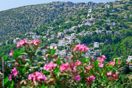 Obraz na płótnie Makrinitsa village, panoramic view of this beautiful, traditional village at Mount Pelio, in central Greece, Europe. It's a famous travel destination w salonie