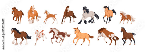 Horses in dynamic poses, movement. Different equine animal breeds set. Thoroughbred stallions, ponies trotting, galloping, frolicking. Flat graphic vector illustration isolated on white background