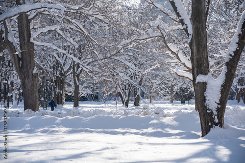 北海道大学