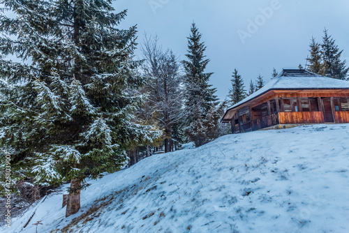 Landscapes - Forest - Europe, Romania, Suceava region