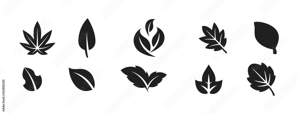 Leaf icons set, tropical leaves set, palm leaves silhouettes isolated, green leafs, environment and nature eco sign Leaf icons set, tropical leaves set, palm leaves silhouettes isolated, green leafs, environment and nature eco sign