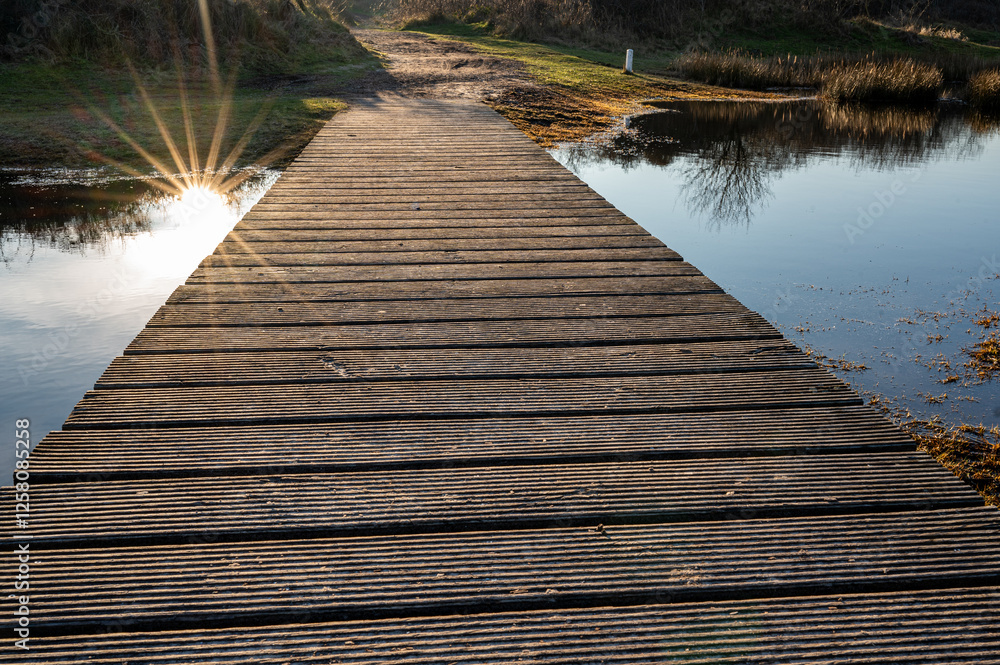 Fototapeta premium A rustic wooden footbridge stretches over a calm pond on Schiermonnikoog, reflecting the warm glow of the setting sun.