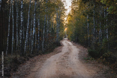 Obraz na płótnie Evening view of a road in forest in area of Lochow town, Masovia region of Poland w salonie