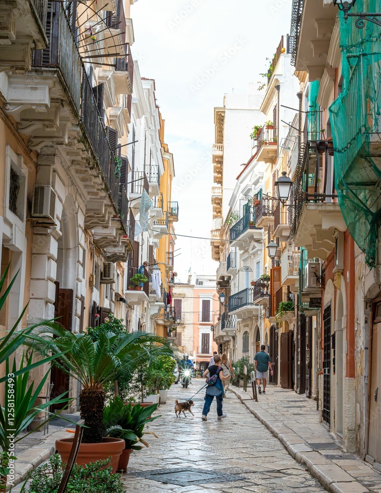 Historic street in Bari, Apulia with townhouses, cobblestones, shops, bars, and trattorias Historic street in Bari, Apulia with townhouses, cobblestones, shops, bars, and trattorias