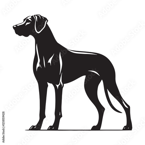 Rhodesian Ridgeback silhouette with a confident and graceful stance - Rhodesian Ridgeback illustration - minimal Rhodesian Ridgeback vector - dog silhouette
