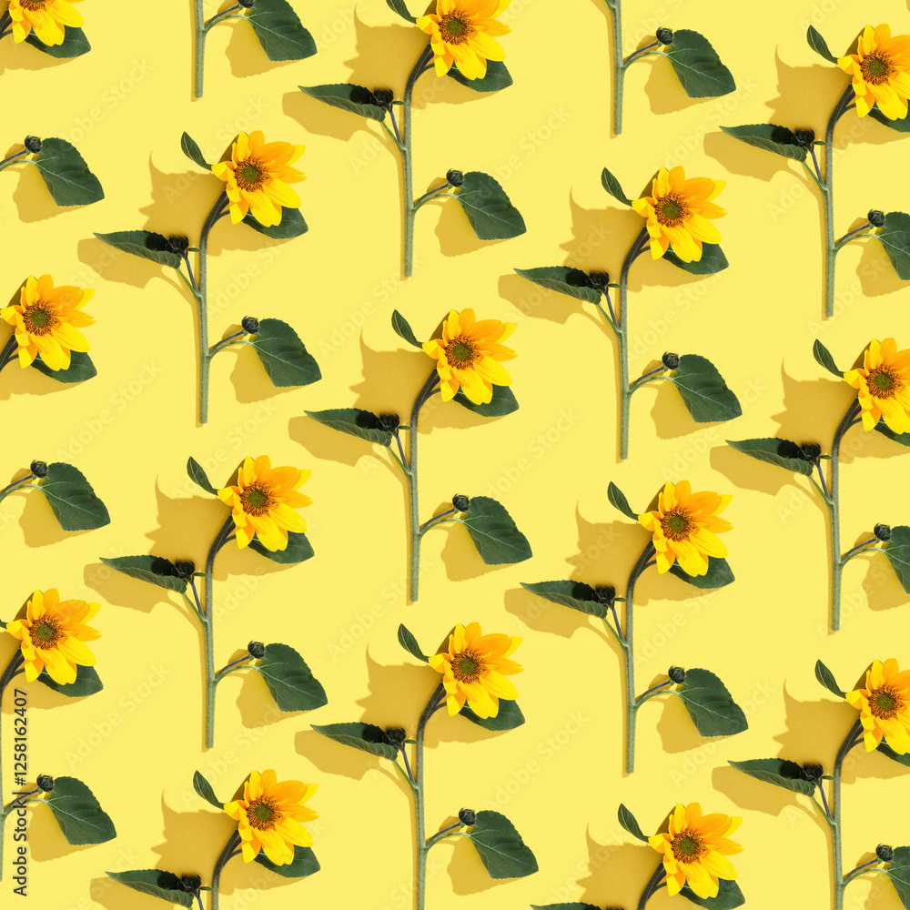 Floral linear pattern sunflowers with green leaf at sunlight on yellow background. Nature environment concept, season nature still life, blooming flower casting shadows, minimal trend flat lay Floral linear pattern sunflowers with green leaf at sunlight on yellow background. Nature environment concept, season nature still life, blooming flower casting shadows, minimal trend flat lay