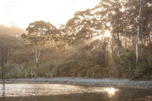 Foto Canoe Bay in Tasman National Park in Tasmanien Australien