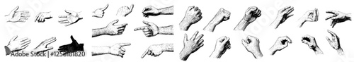 Hand gesture collection illustration, drawing, engraving, ink, line art, modern