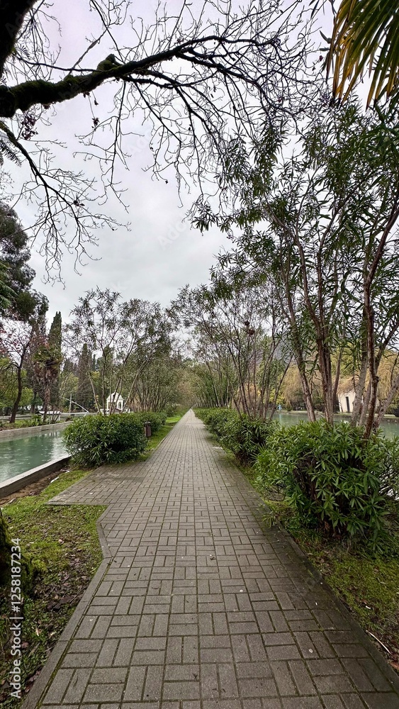 Fototapeta premium Walking path along the Black Sea embankment in Abkhazia
