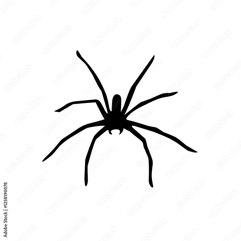 spider isolated on transparent background spider isolated on transparent background
