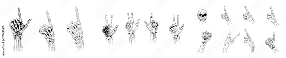 Modern illustration of an isolated background featuring a set of metal hand sign skeletons Modern illustration of an isolated background featuring a set of metal hand sign skeletons