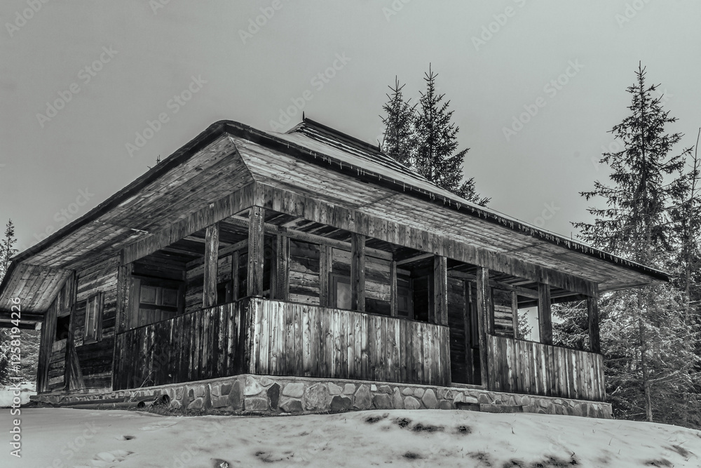 Landscapes - Forest - Europe, Romania, Suceava region Landscapes - Forest - Europe, Romania, Suceava region