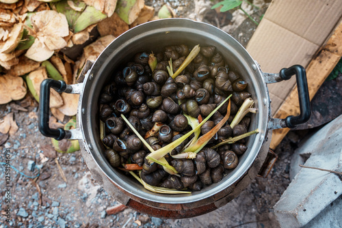 Pile of River snails - Filopaludina martensi Baked in a stainless steel pot on a charcoal stove with herbs with lemongrass and kaffir lime leaves. Simple local Thai food menu. photo