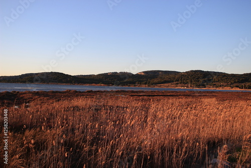 Etan de Sigean au coucher de soleil photo