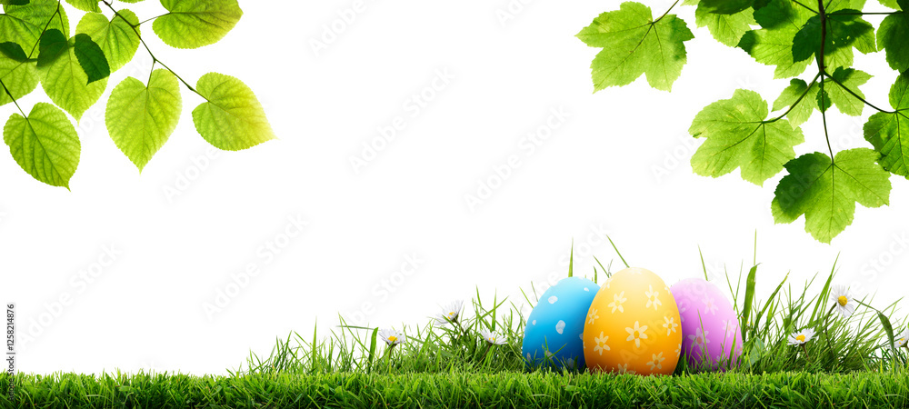 A collection of painted easter eggs under bright green tree leaves celebrating a Happy Easter in spring with green short cut meadow grass against an isolated transparent background.