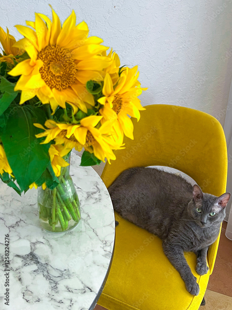 A grey cat is lying on a yellow armchair near a table with a bouquet of sunflowers