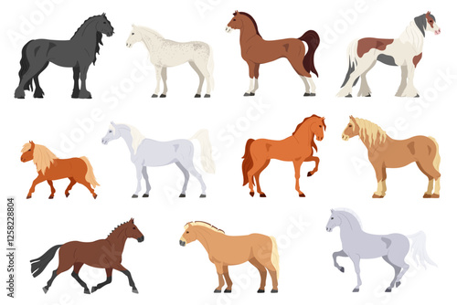 Cartoon horses. Different horse types, breeds and colors. Prancing pony, stallion run gallop and standing steed poses. Horse show isolated vector set.