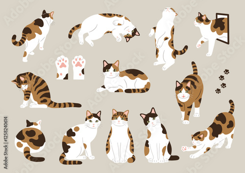 三毛猫のイラスト素材セット