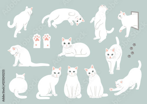 白猫のイラスト素材セット