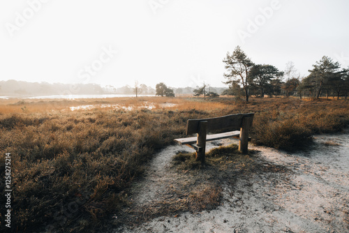Bench lookout point in heather field