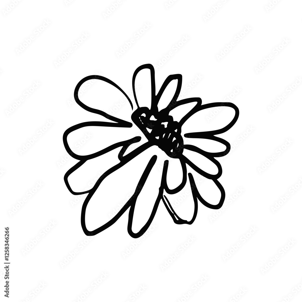 Hand drawn black ink abstract daisy flower isolated on white background. Monochrome scribble style bloom. Sketchy minimalist floral design. Hand drawn black ink abstract daisy flower isolated on white background. Monochrome scribble style bloom. Sketchy minimalist floral design.
