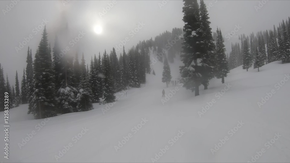 Breathtaking View Of Snow Covered Mountain Surrounded By Trees Under A Sunny Sky Breathtaking View Of Snow Covered Mountain Surrounded By Trees Under A Sunny Sky