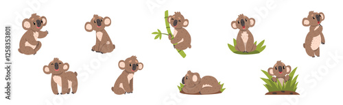 Funny Koala Animal with Cute Snout Vector Set