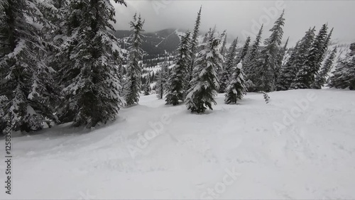 Picturesque Winter Wonderland: Lush Snow-covered Trees Amidst A Serene Snowy Landscape