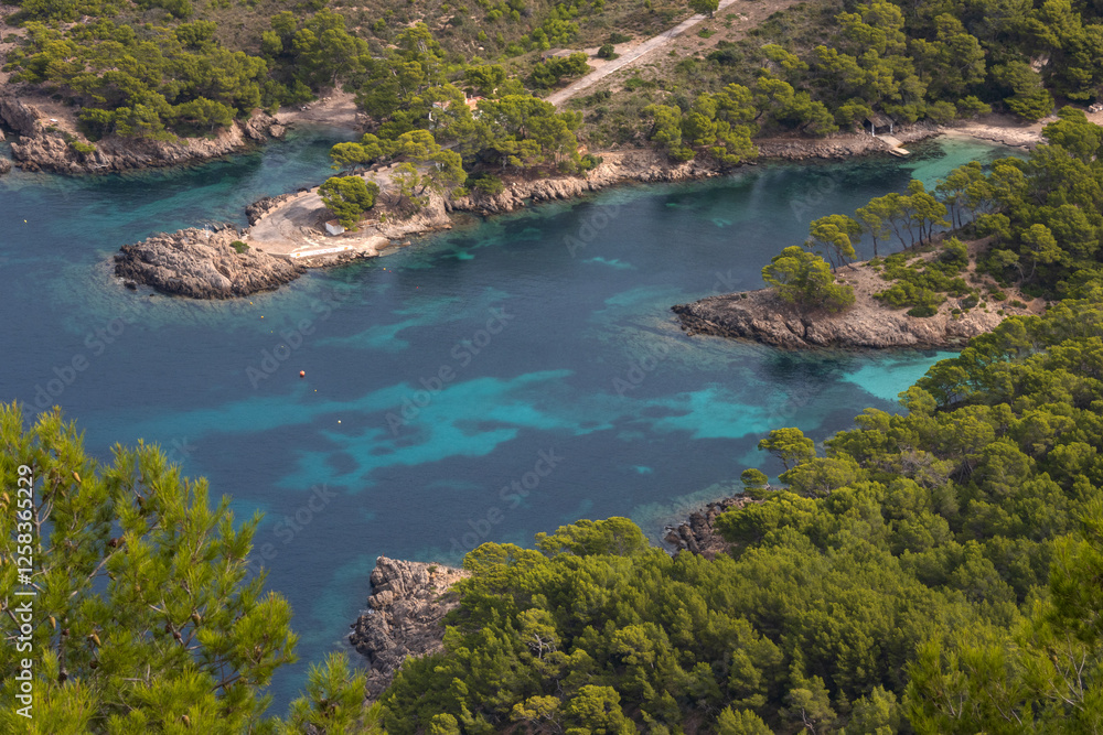 Schöne Bucht an der Alcudia Halbinsel mit bewalderter Felsküste auf der Balearneinsel Mallorca