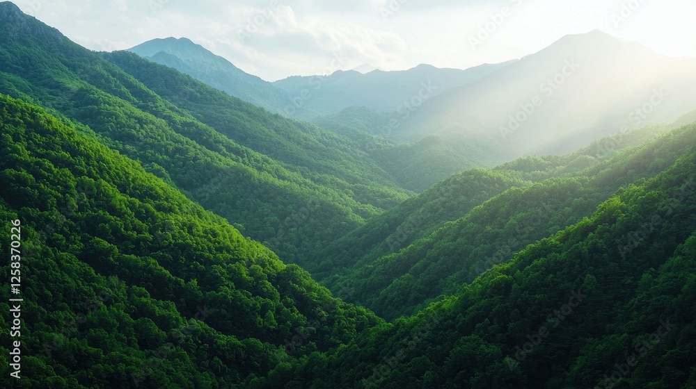 Serene Green Mountains Under Soft Sunlight in a Breath-Taking Landscape Serene Green Mountains Under Soft Sunlight in a Breath-Taking Landscape