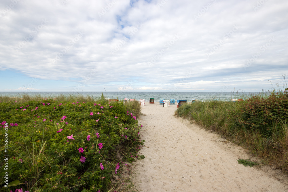 Strandzugang in Hohwacht an der Ostsee im Sommer.