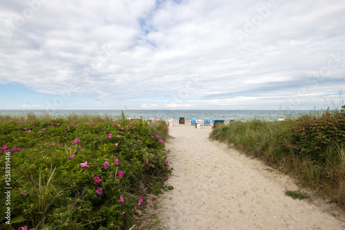 Strandzugang in Hohwacht an der Ostsee im Sommer.