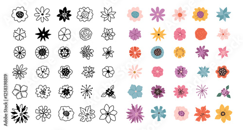 Flowering inflorescence collection, isolated colorful and monochrome flowers. Vector seasonal blooming of plants. Biodiversity of vegetation. Botanical flourishing adornment, season decor set