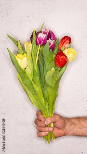 Tulpen / Hand / Mann photo