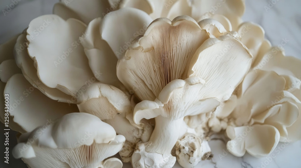Champignons, fresh agaricus mushrooms cut for cooking in slices and half. Vector realistic set of edible fungus, healthy eating ingredient isolated on white background