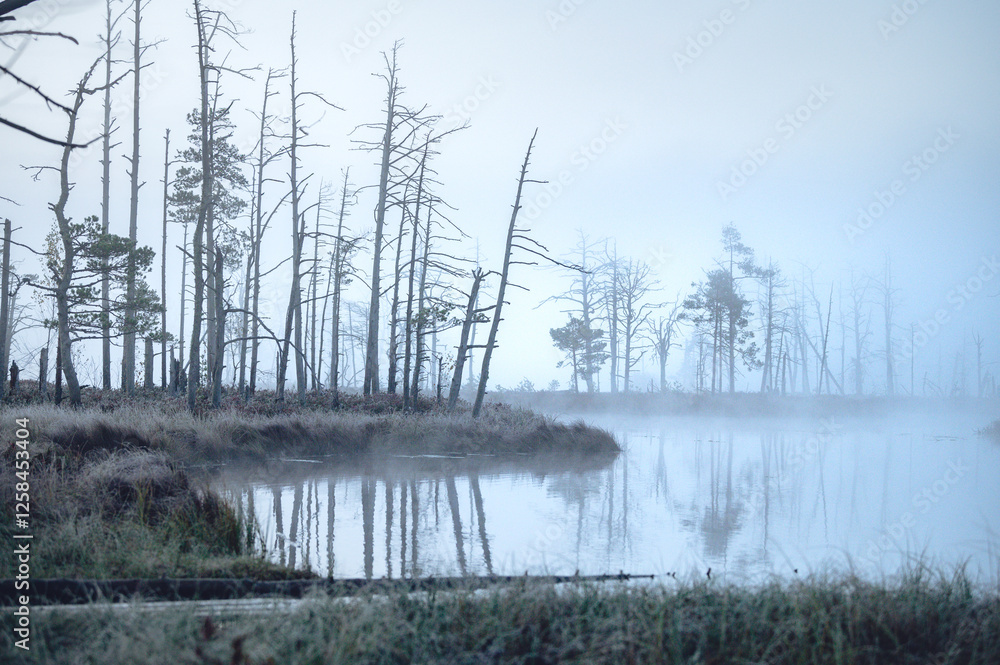 Indian guy on sup board. Moody atmospheric forest lake with reflections in the dark water. Blue haze and fog covering the scene.