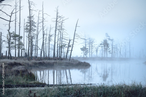 Obraz na płótnie Indian guy on sup board. Moody atmospheric forest lake with reflections in the dark water. Blue haze and fog covering the scene. w salonie