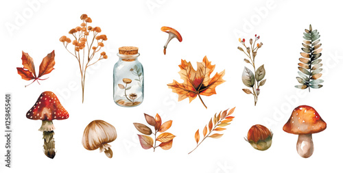 Autumn watercolor elements. Vector set of autumn nature elements in watercolor style. Mushrooms, plants, lere leaves, hazelnuts and other png elements.