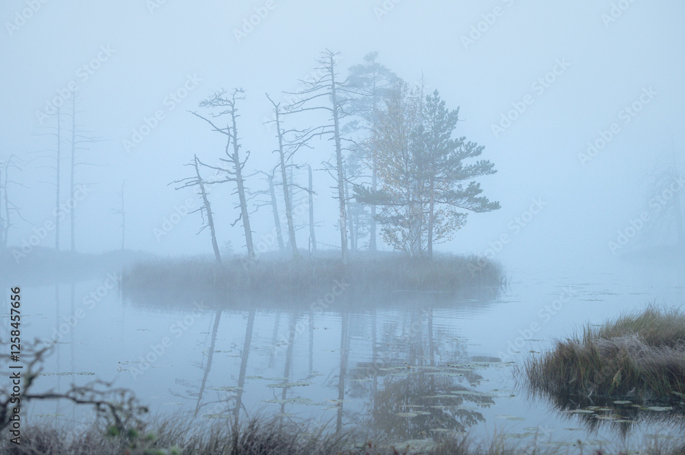 Indian guy on sup board. Moody atmospheric forest lake with reflections in the dark water. Blue haze and fog covering the scene.