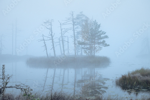 Obraz na płótnie Indian guy on sup board. Moody atmospheric forest lake with reflections in the dark water. Blue haze and fog covering the scene. w salonie