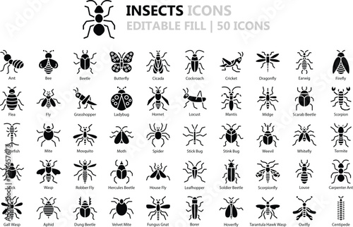 Insect Icon Set: 50 Detailed Fill Vector Icons in Black (EPS Included)