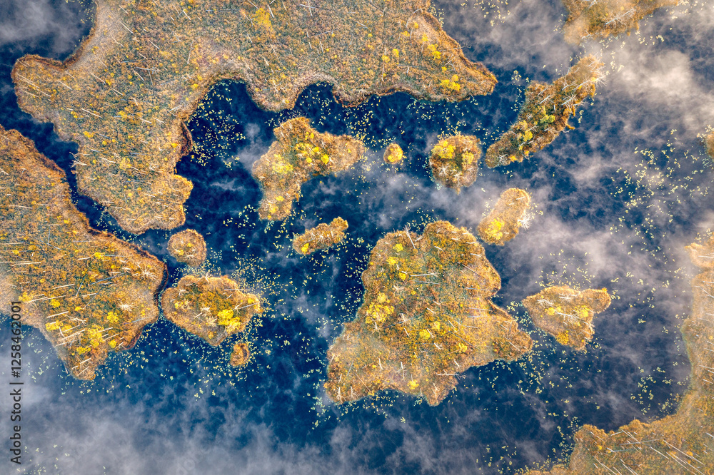 Drone panorama on tiny isles in lake in colorful sunrise colors. Top down view on swamp with isle. Sustainable ecosystem of wetlands.