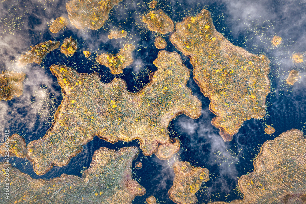 Drone panorama on tiny isles in lake in colorful sunrise colors. Top down view on swamp with isle. Sustainable ecosystem of wetlands.