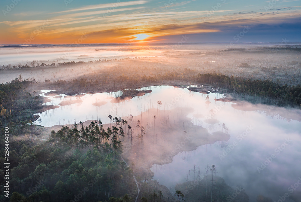 Drone panorama on tiny isles in lake in colorful sunrise colors. Top down view on swamp with isle. Sustainable ecosystem of wetlands.