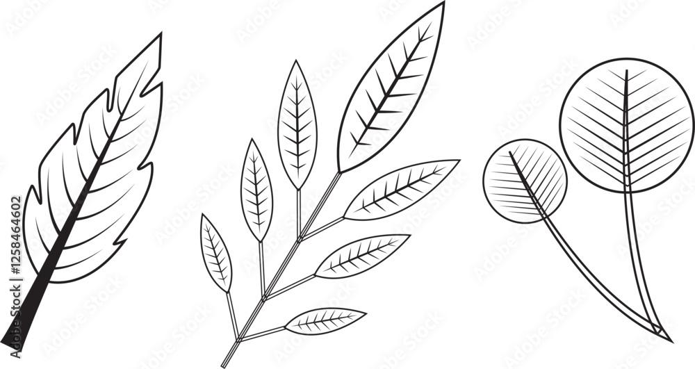 Fototapeta premium set of leaves line art