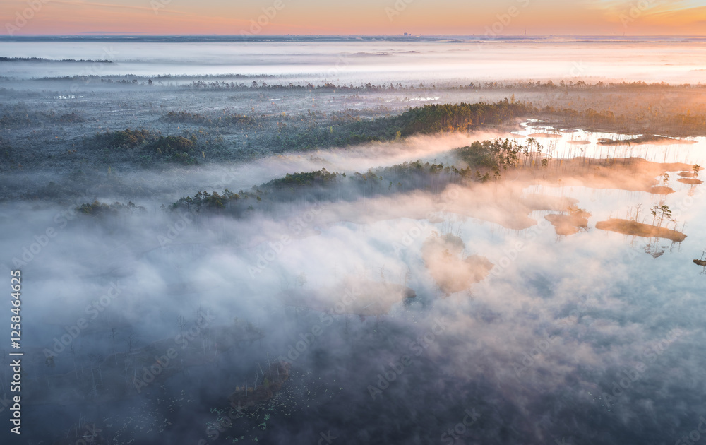 Drone panorama on tiny isles in lake in colorful sunrise colors. Top down view on swamp with isle. Sustainable ecosystem of wetlands.