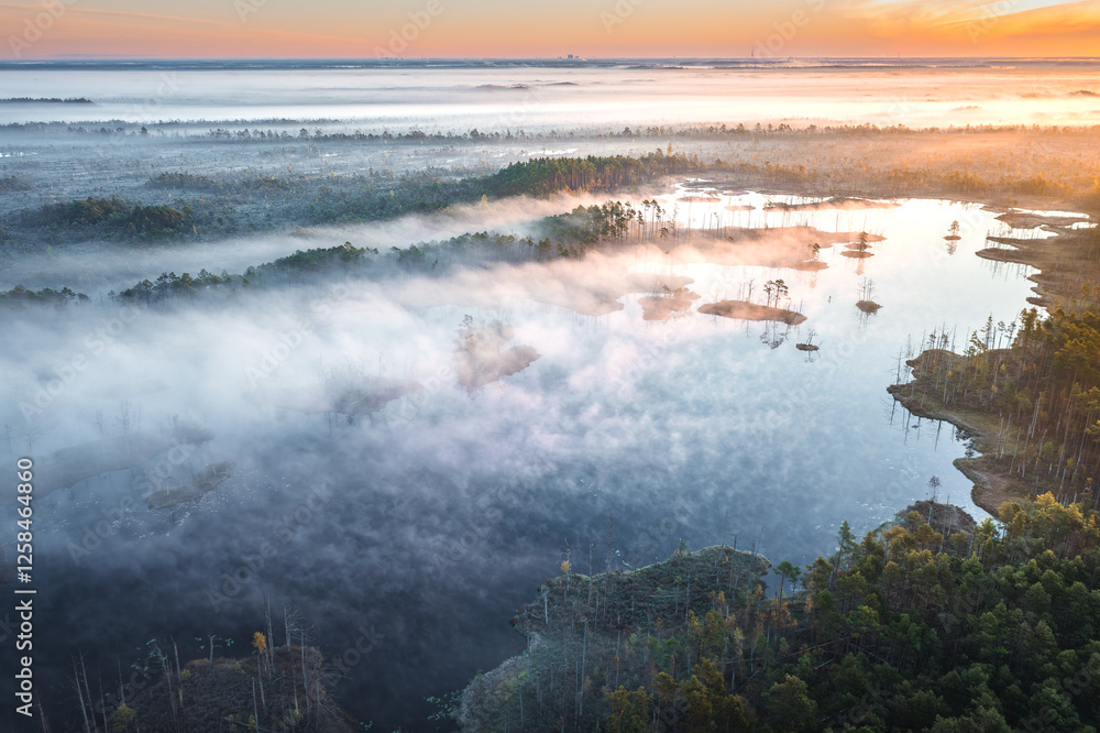 Drone panorama on tiny isles in lake in colorful sunrise colors. Top down view on swamp with isle. Sustainable ecosystem of wetlands.