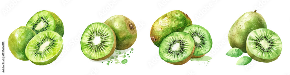 Watercolor set of kiwi png. Tropical green kiwis in cut and whole on transparent background. Concept Tropical fruits concept. Vector illustration. Watercolor set of kiwi png. Tropical green kiwis in cut and whole on transparent background. Concept Tropical fruits concept. Vector illustration.