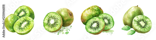 Watercolor set of kiwi png. Tropical green kiwis in cut and whole on transparent background. Concept Tropical fruits concept. Vector illustration.