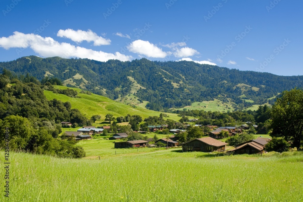 Obraz premium A picturesque rural landscape with lush green fields, scattered houses, and majestic mountains under a clear blue sky.